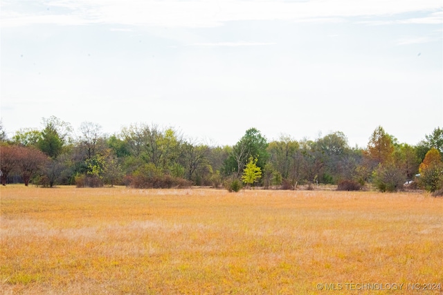 view of yard with a rural view