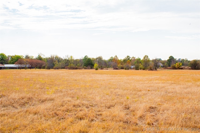 view of yard featuring a rural view