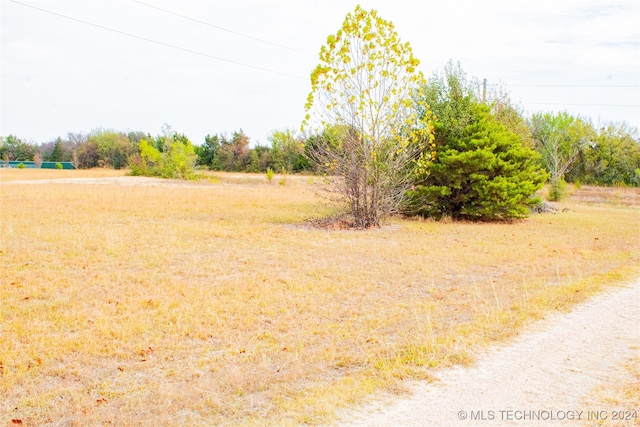 view of yard with a rural view