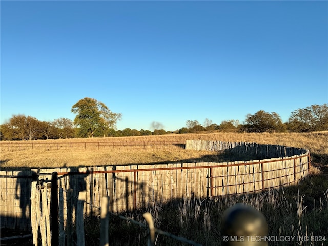 view of yard featuring a rural view