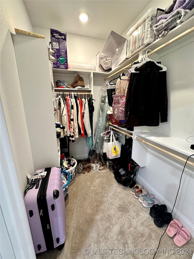 spacious closet with carpet flooring