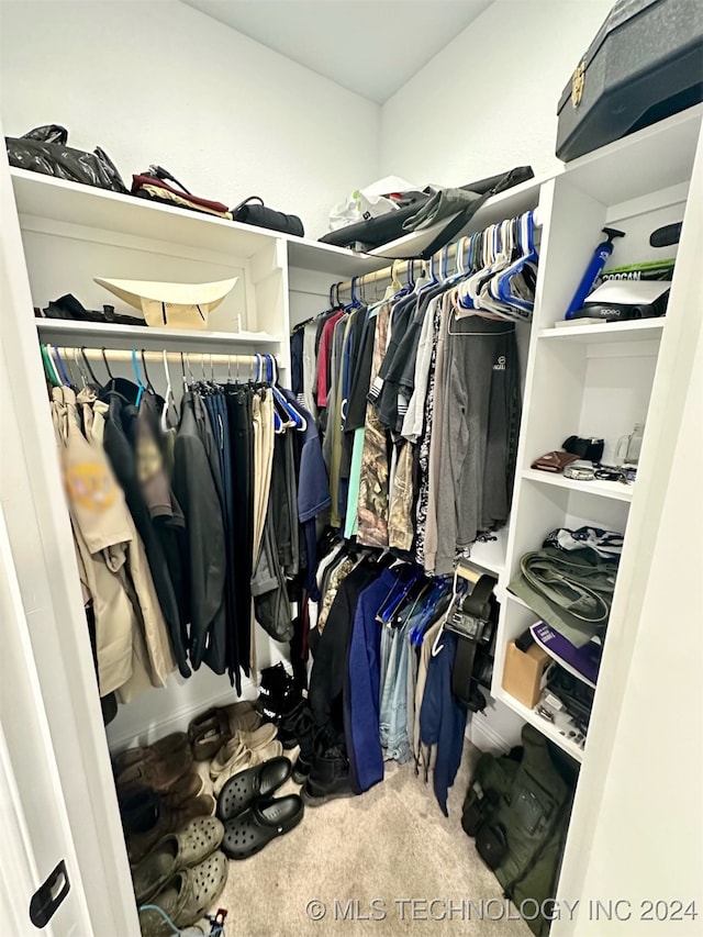 walk in closet with carpet flooring