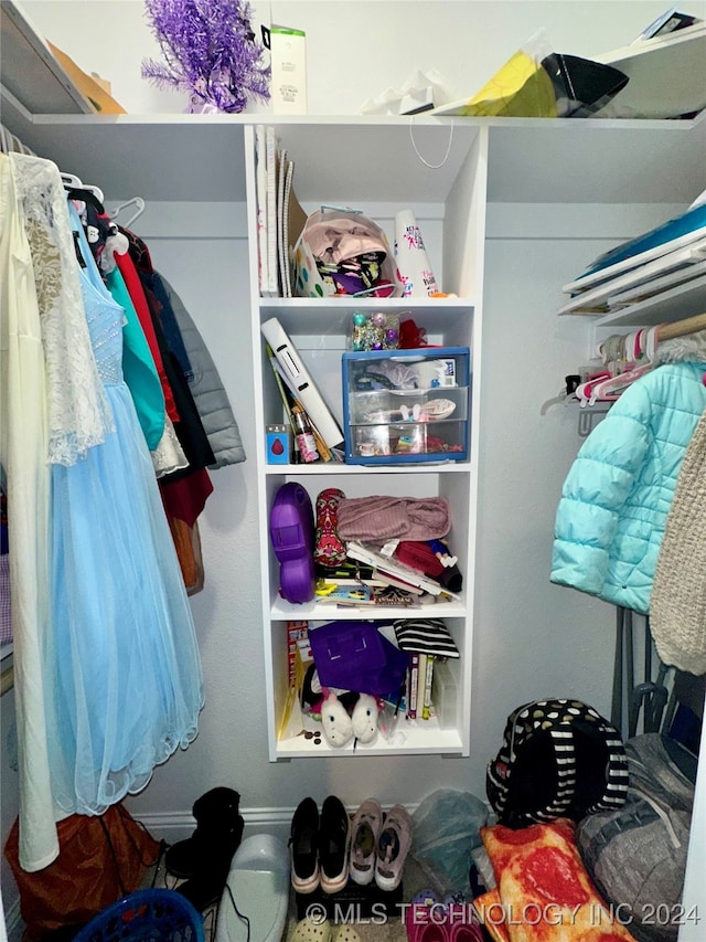 view of spacious closet