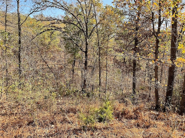 1054 N Oaks, Tahlequah, OK 74464 - photo 29