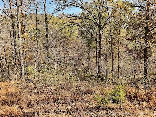 1054 N Oaks, Tahlequah, OK 74464 - photo 30