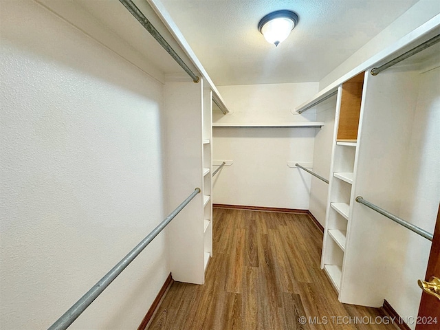 walk in closet featuring hardwood / wood-style flooring