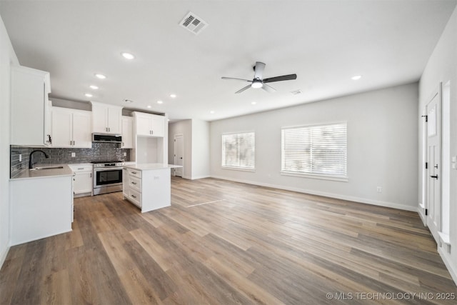 kitchen with hardwood / wood-style floors, a center island, sink, stainless steel range, and white cabinetry