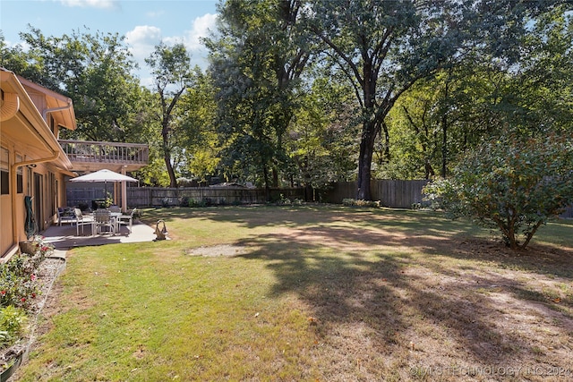 view of yard featuring a patio area