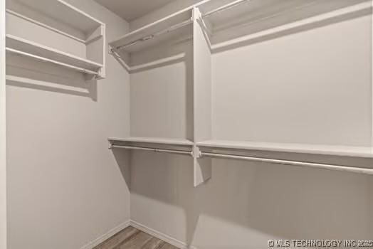 spacious closet featuring wood finished floors