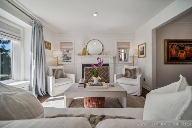 living room featuring hardwood / wood-style floors and crown molding