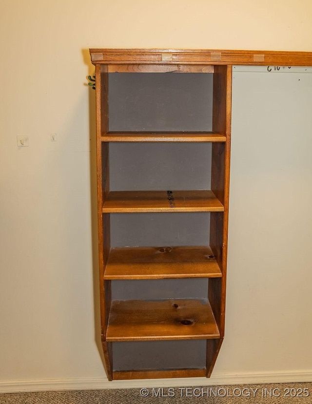 view of closet