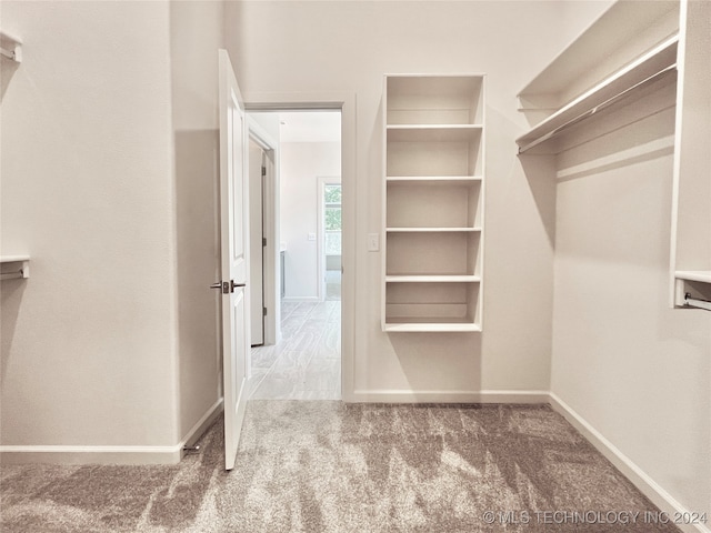 spacious closet featuring carpet