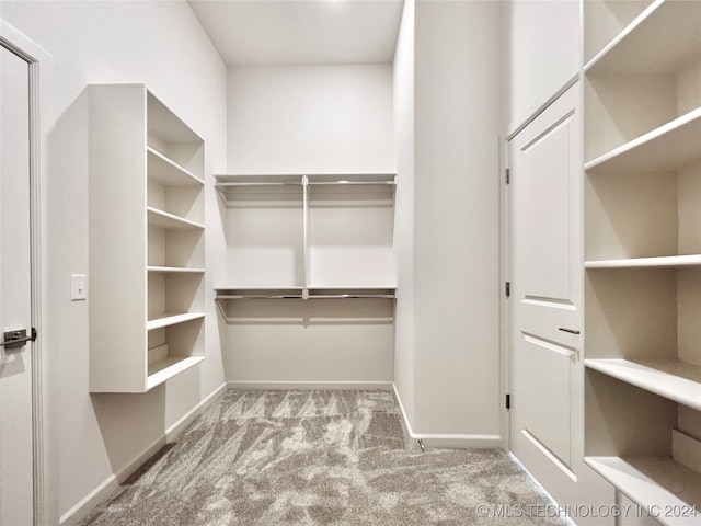 walk in closet with light colored carpet