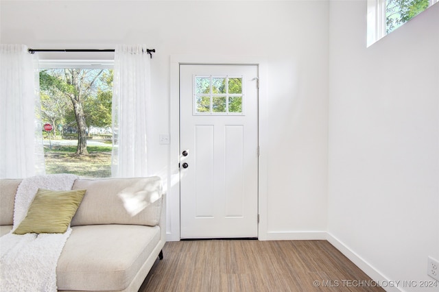 entryway with a wealth of natural light and wood-type flooring