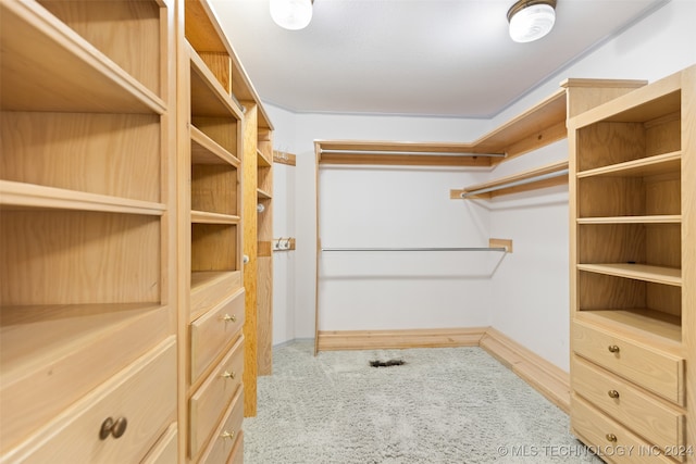 spacious closet featuring carpet flooring