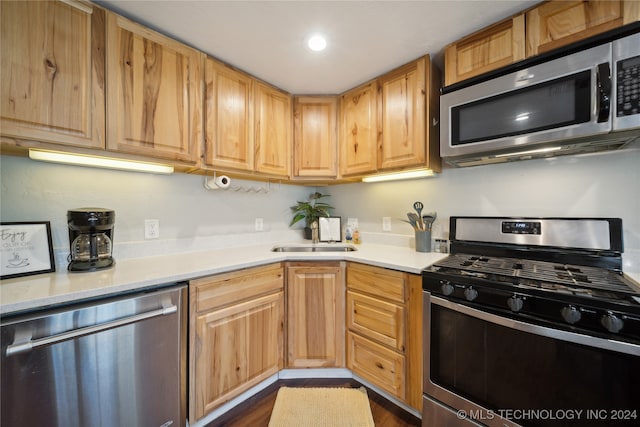 kitchen with stainless steel appliances, dark hardwood / wood-style floors, and sink