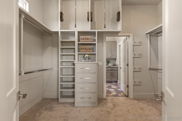 spacious closet with light carpet