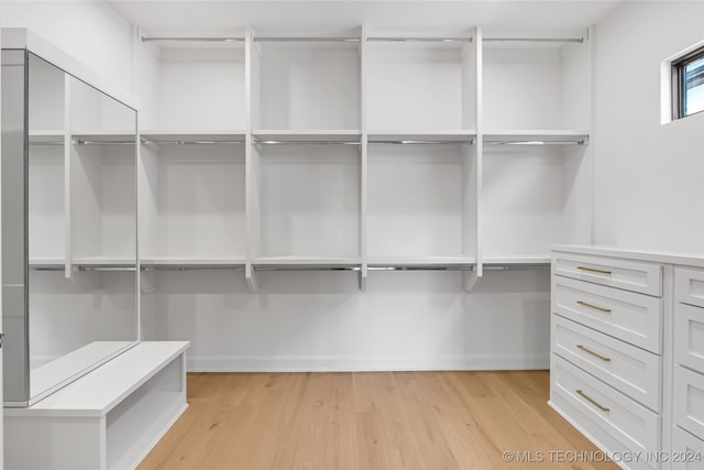 spacious closet featuring light hardwood / wood-style flooring