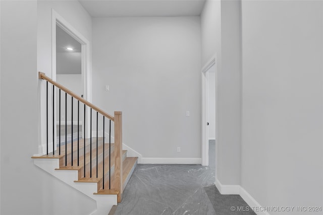 staircase with carpet