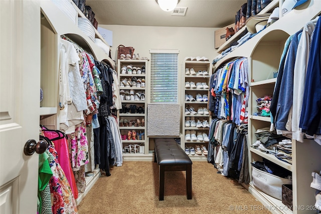 walk in closet with carpet