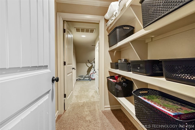 spacious closet featuring light carpet