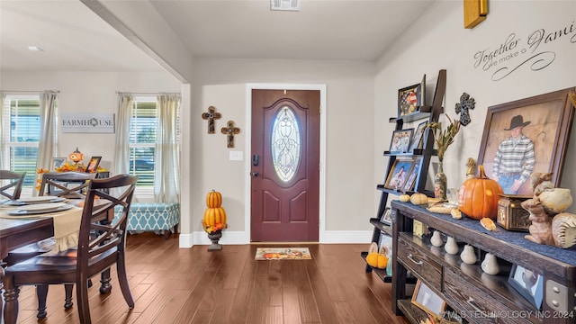 foyer entrance featuring dark wood-type flooring