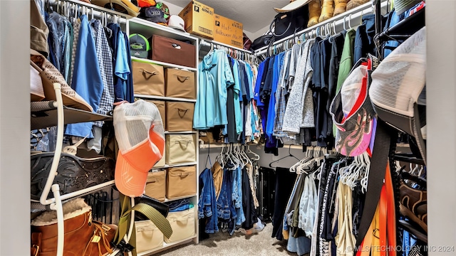 walk in closet featuring carpet