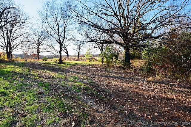 view of yard with a rural view