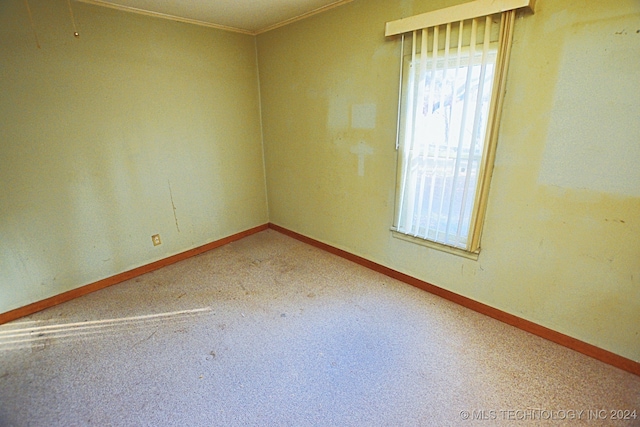 spare room featuring carpet