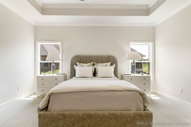 carpeted bedroom featuring a raised ceiling and ornamental molding