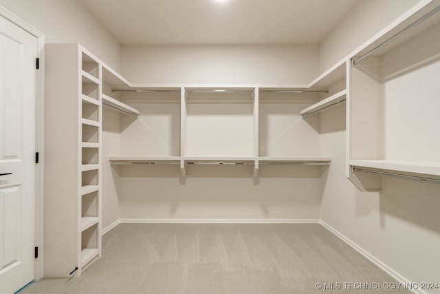 spacious closet with light colored carpet