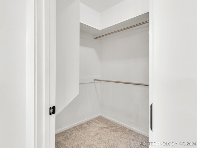 spacious closet with carpet floors