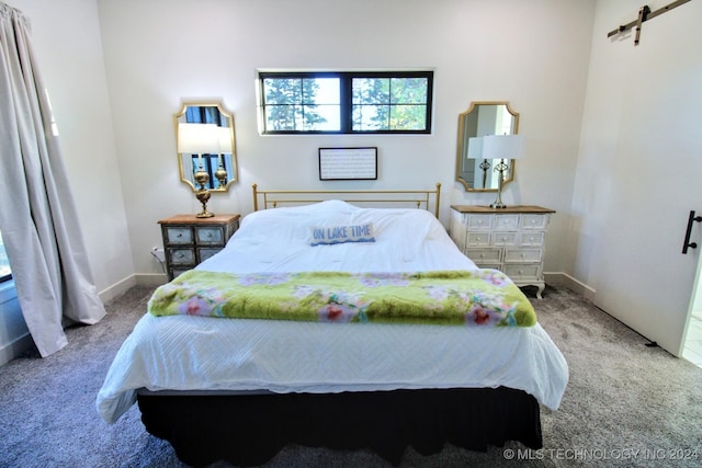 carpeted bedroom with a barn door