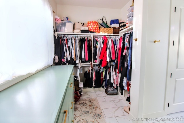 view of spacious closet