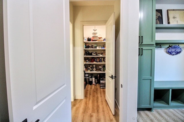 view of closet