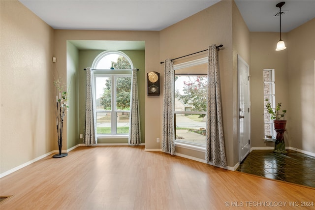 entryway featuring hardwood / wood-style floors and a wealth of natural light