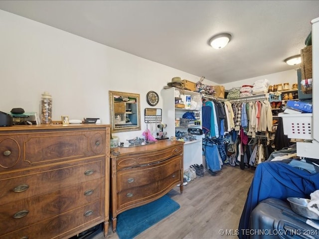 spacious closet featuring light wood-type flooring