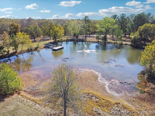 view of water feature