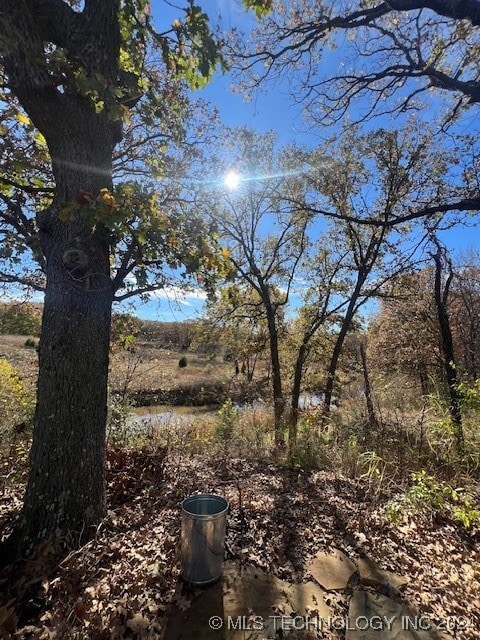 view of local wilderness