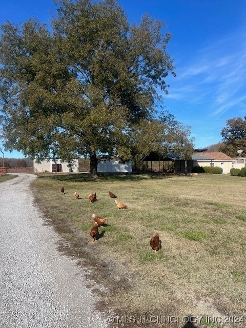 view of yard