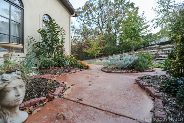 view of yard with a patio area