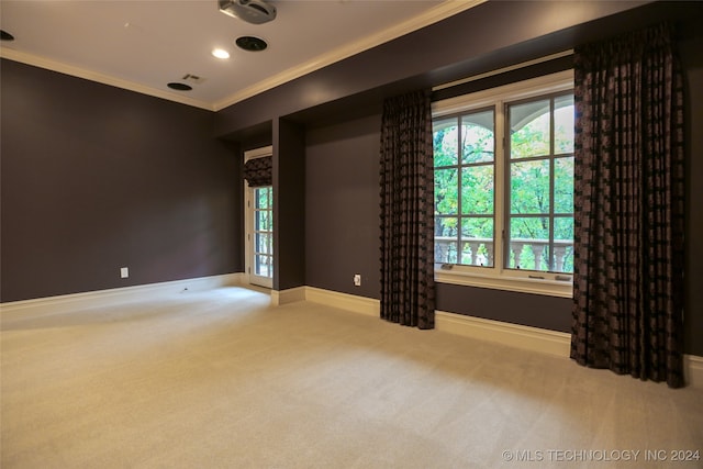 carpeted empty room featuring crown molding