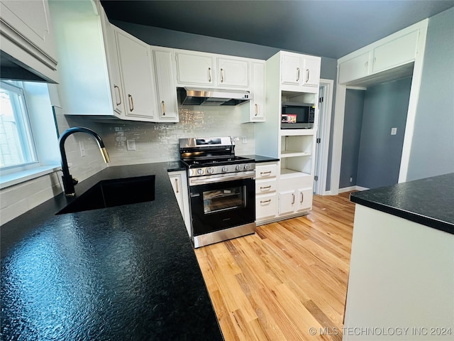 kitchen with white cabinetry, sink, stainless steel appliances, range hood, and decorative backsplash