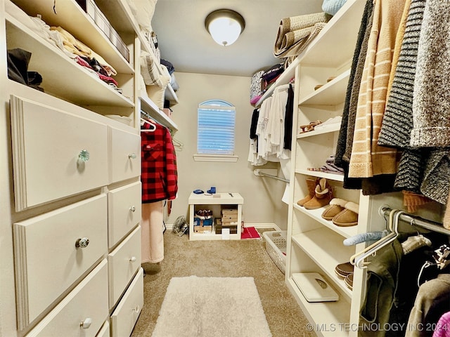 spacious closet featuring light carpet