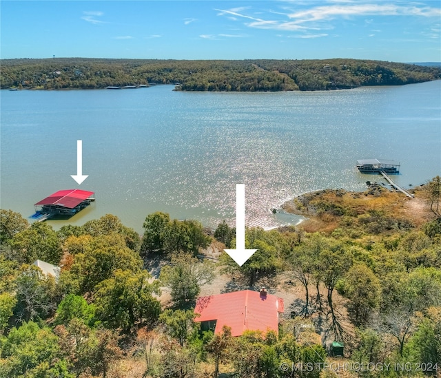 bird's eye view with a water view