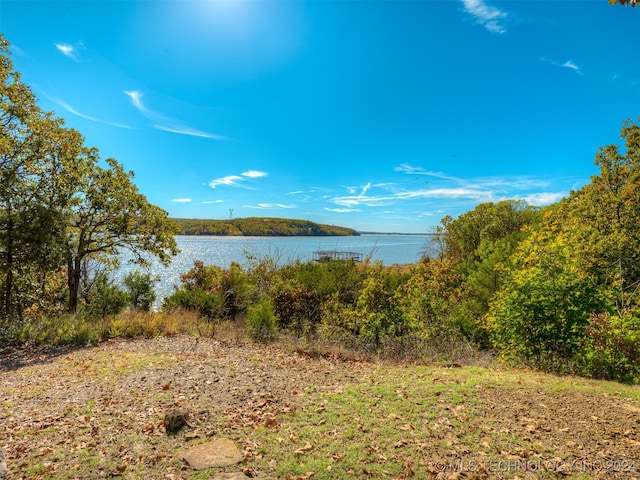 property view of water