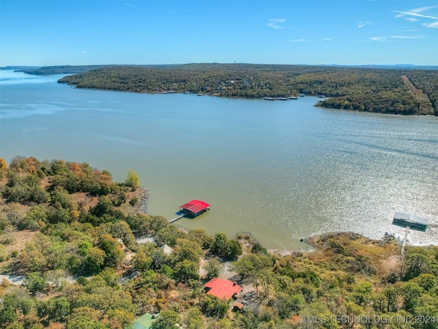 bird's eye view featuring a water view and a wooded view