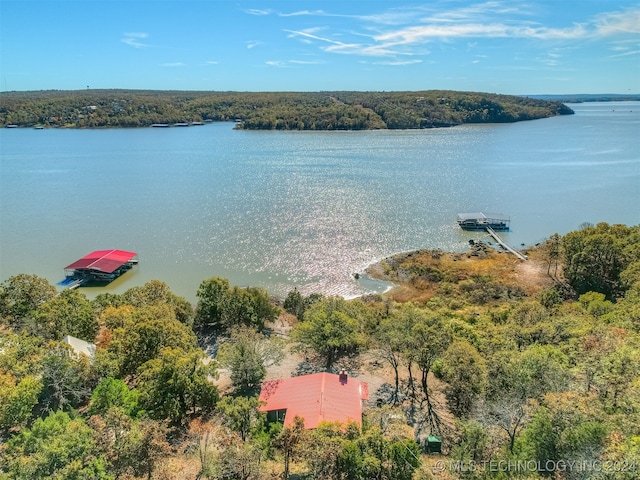 birds eye view of property with a water view and a forest view