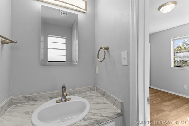 bathroom with vanity and hardwood / wood-style flooring