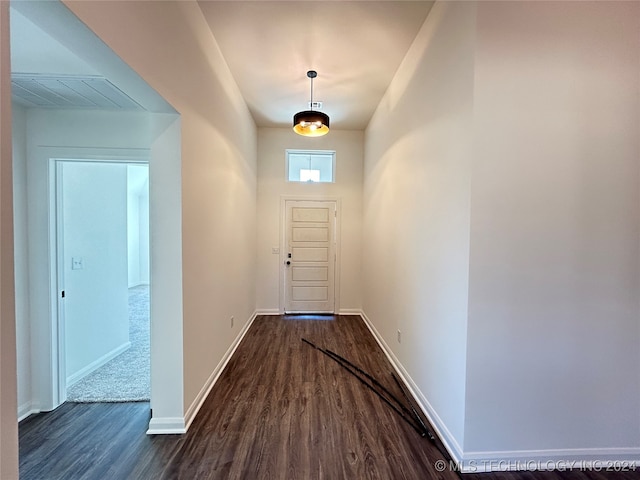 entryway featuring dark hardwood / wood-style floors